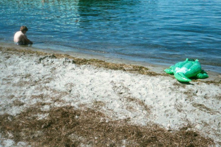 Датчане празднуют последние дни лета Датчане празднуют последние дни лета