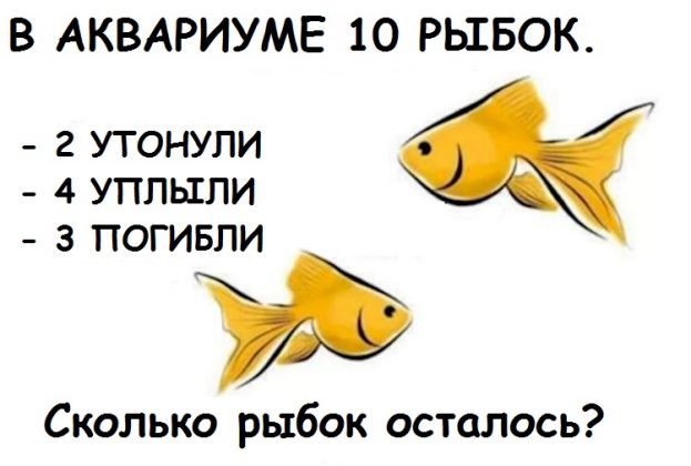 7 логических загадок для взрослых и детей: пошевели мозгами! 7 логических загадок для взрослых и детей: пошевели мозгами!