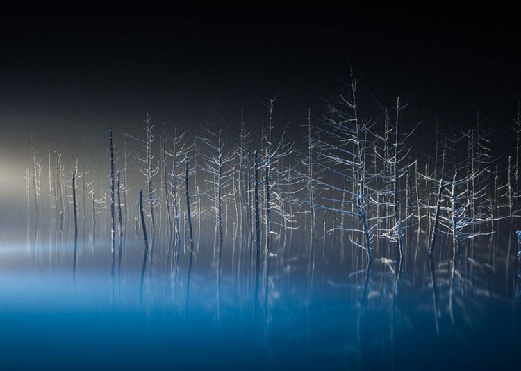 Лучшие фотографии конкурса National Geographic Traveler 2016 Лучшие фотографии конкурса National Geographic Traveler 2016
