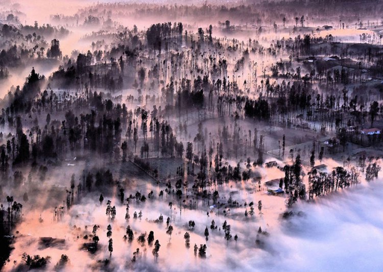 Лучшие фотографии конкурса National Geographic Traveler 2016 Лучшие фотографии конкурса National Geographic Traveler 2016
