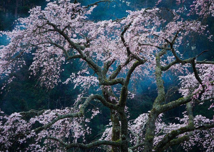 Лучшие фотографии конкурса National Geographic Traveler 2016 Лучшие фотографии конкурса National Geographic Traveler 2016