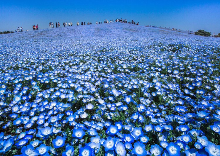 Лучшие фотографии конкурса National Geographic Traveler 2016 Лучшие фотографии конкурса National Geographic Traveler 2016