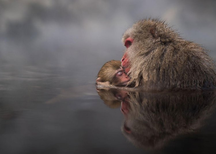 Лучшие фотографии конкурса National Geographic Traveler 2016 Лучшие фотографии конкурса National Geographic Traveler 2016