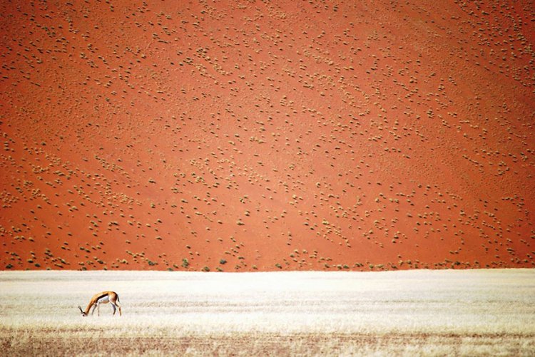 Лучшие фотографии конкурса National Geographic Traveler 2016 Лучшие фотографии конкурса National Geographic Traveler 2016