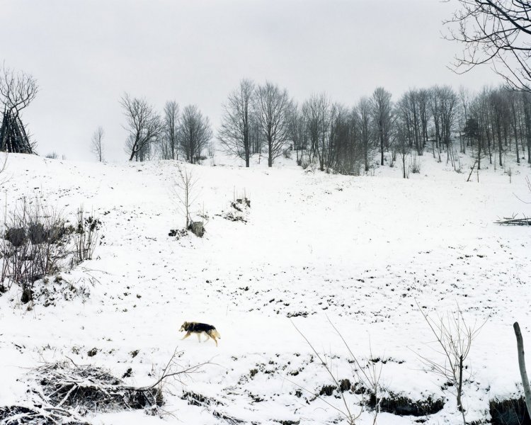 Украинское село Бойки Украинское село Бойки