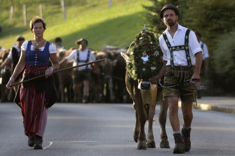 “Almabtrieb” в Гармании “Almabtrieb” в Гармании