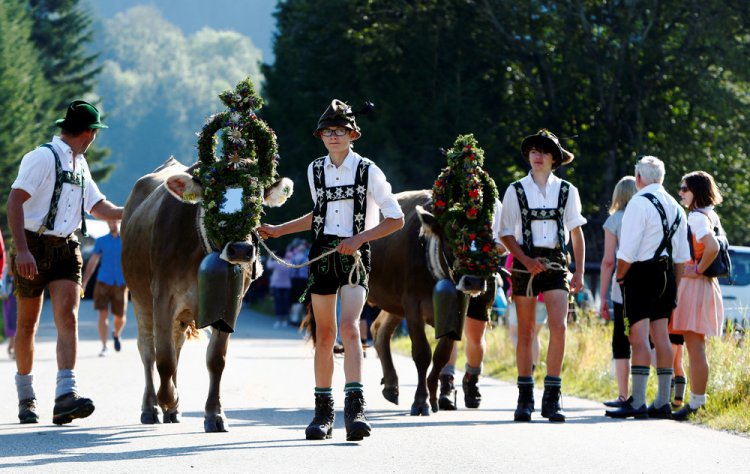 “Almabtrieb” в Гармании “Almabtrieb” в Гармании