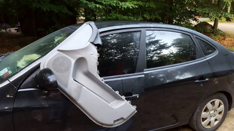 Медведь закрылся в автомобиле и уничтожил салон Медведь закрылся в автомобиле и уничтожил салон