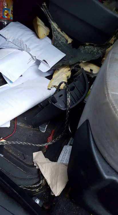 Медведь закрылся в автомобиле и уничтожил салон Медведь закрылся в автомобиле и уничтожил салон