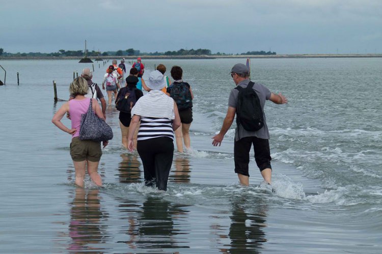 Дорога во Франции, которая исчезает под водой дважды в день Дорога во Франции, которая исчезает под водой дважды в день