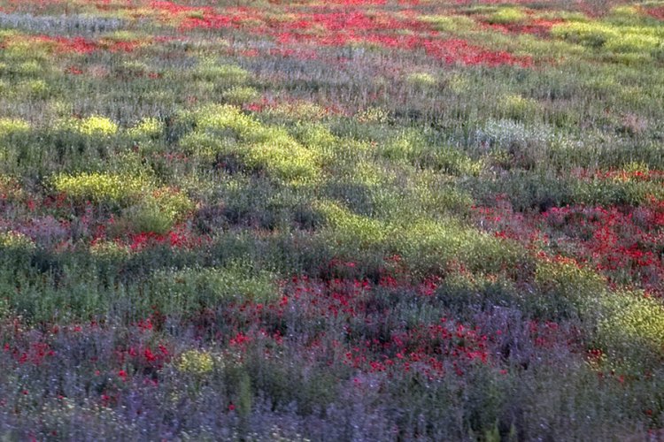 Красивые пейзажи Юре Краванья Красивые пейзажи Юре Краванья