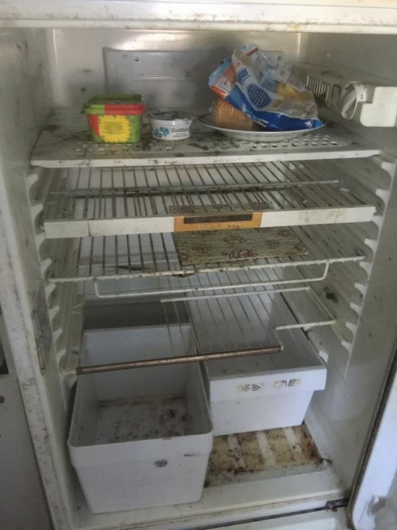 Соседка спасла пожилую женщину, которая почти похоронила себя в грязи Соседка спасла пожилую женщину, которая почти похоронила себя в грязи
