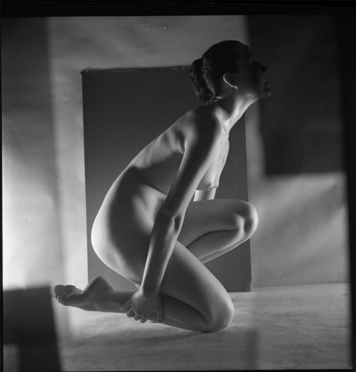 Фотограф Питер Баш: портреты голливудских актрис 50-60-х годов Фотограф Питер Баш: портреты голливудских актрис 50-60-х годов