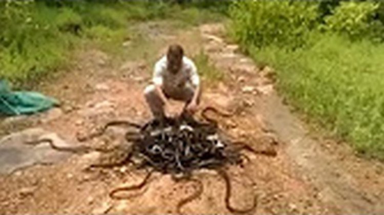Это видео не оставит никого равнодушным: кого-то ужаснет, а кого-то поразит. Для меня - это кошмар! Это видео не оставит никого равнодушным: кого-то ужаснет, а кого-то поразит. Для меня - это кошмар!