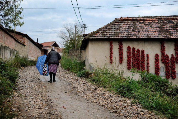Сербская “столица паприки” Сербская “столица паприки”