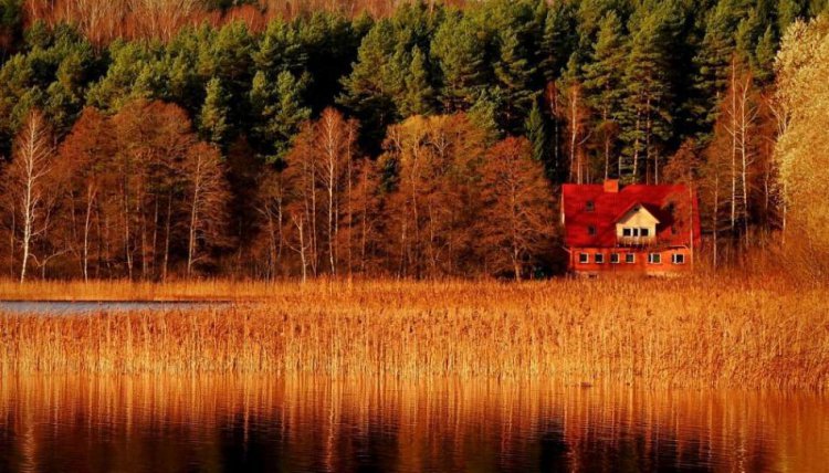 Места, где осень невероятно прекрасна Места, где осень невероятно прекрасна