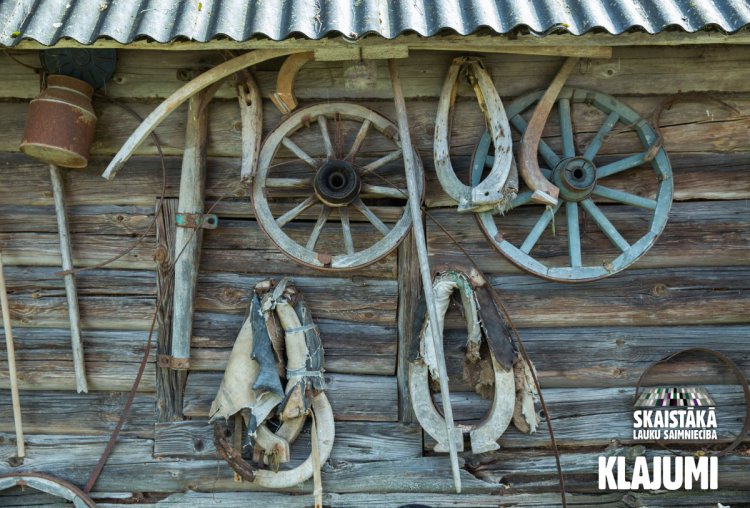 Самое красивое крестьянское хозяйство Латвии находится на границе с Россией Самое красивое крестьянское хозяйство Латвии находится на границе с Россией