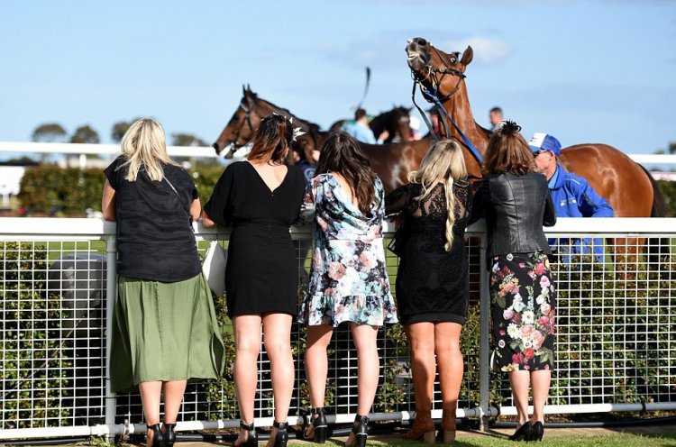Гламурные любители скачек Australian Geelong Cup Гламурные любители скачек Australian Geelong Cup