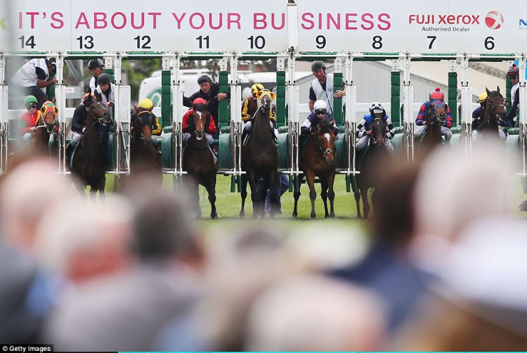 Гламурные любители скачек Australian Geelong Cup Гламурные любители скачек Australian Geelong Cup