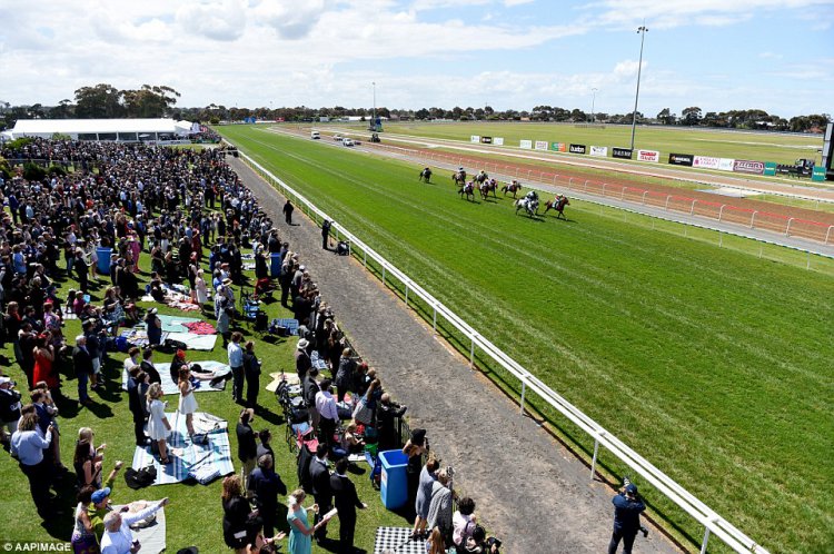 Гламурные любители скачек Australian Geelong Cup Гламурные любители скачек Australian Geelong Cup
