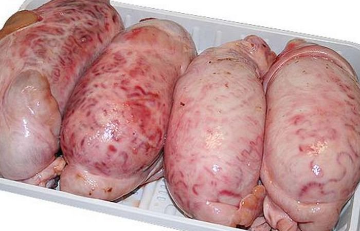 Конкурсы едоков, которые проходят в разных уголках мира Конкурсы едоков, которые проходят в разных уголках мира