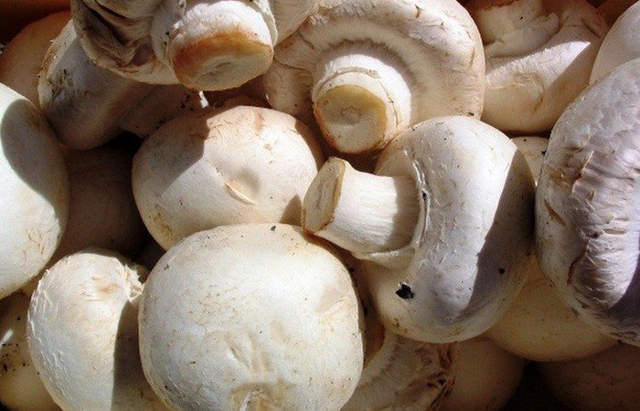 Конкурсы едоков, которые проходят в разных уголках мира Конкурсы едоков, которые проходят в разных уголках мира