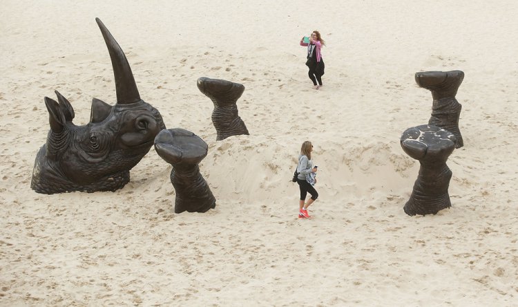 Скульптуры у моря на выставке “Sculpture by the Sea” Скульптуры у моря на выставке “Sculpture by the Sea”