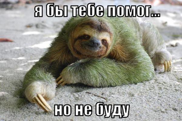 10 открыток с ленивым Ленивцем, в которых каждый узнает себя 10 открыток с ленивым Ленивцем, в которых каждый узнает себя