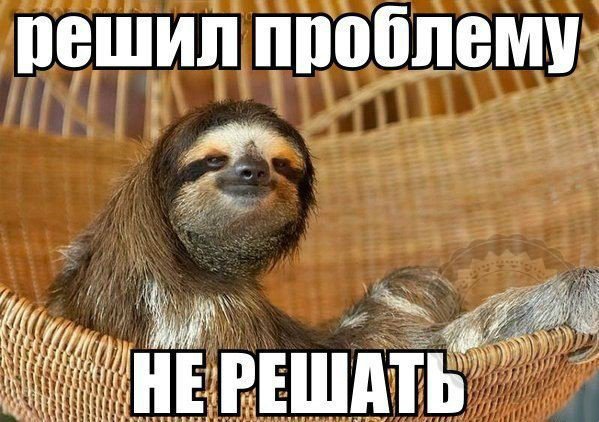 10 открыток с ленивым Ленивцем, в которых каждый узнает себя 10 открыток с ленивым Ленивцем, в которых каждый узнает себя