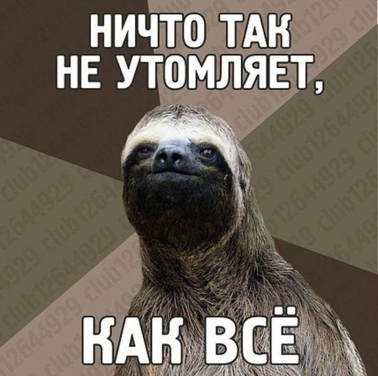 10 открыток с ленивым Ленивцем, в которых каждый узнает себя 10 открыток с ленивым Ленивцем, в которых каждый узнает себя
