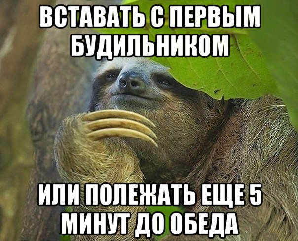 10 открыток с ленивым Ленивцем, в которых каждый узнает себя 10 открыток с ленивым Ленивцем, в которых каждый узнает себя