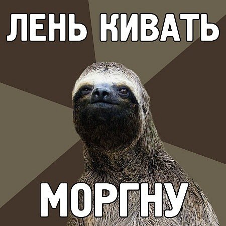 10 открыток с ленивым Ленивцем, в которых каждый узнает себя 10 открыток с ленивым Ленивцем, в которых каждый узнает себя