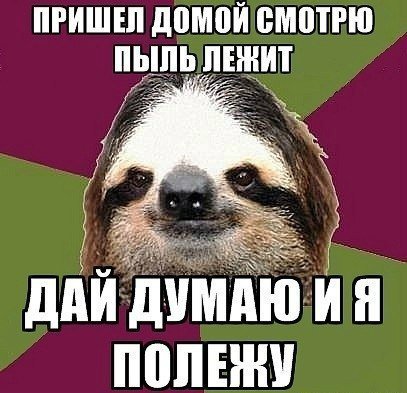 10 открыток с ленивым Ленивцем, в которых каждый узнает себя 10 открыток с ленивым Ленивцем, в которых каждый узнает себя