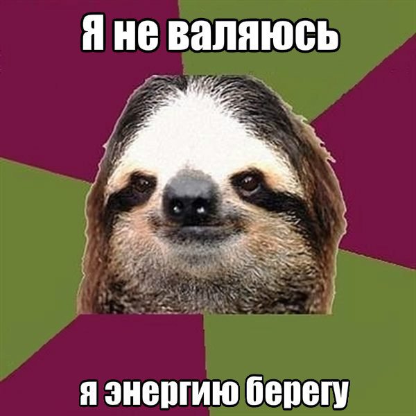 10 открыток с ленивым Ленивцем, в которых каждый узнает себя 10 открыток с ленивым Ленивцем, в которых каждый узнает себя