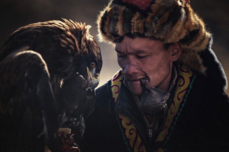 Охота с беркутом в Монголии на «Golden Eagle Festival» Охота с беркутом в Монголии на «Golden Eagle Festival»