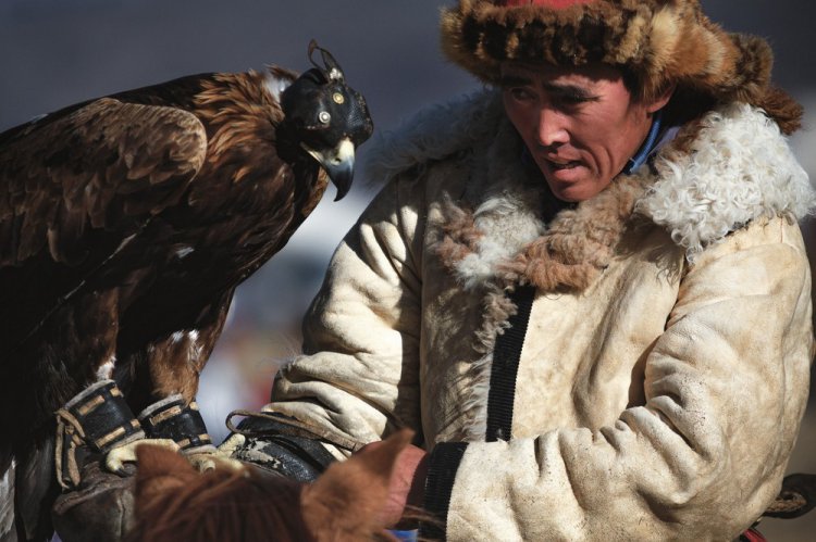 Охота с беркутом в Монголии на «Golden Eagle Festival» Охота с беркутом в Монголии на «Golden Eagle Festival»