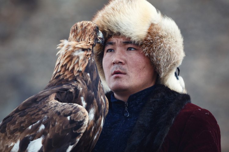 Охота с беркутом в Монголии на «Golden Eagle Festival» Охота с беркутом в Монголии на «Golden Eagle Festival»
