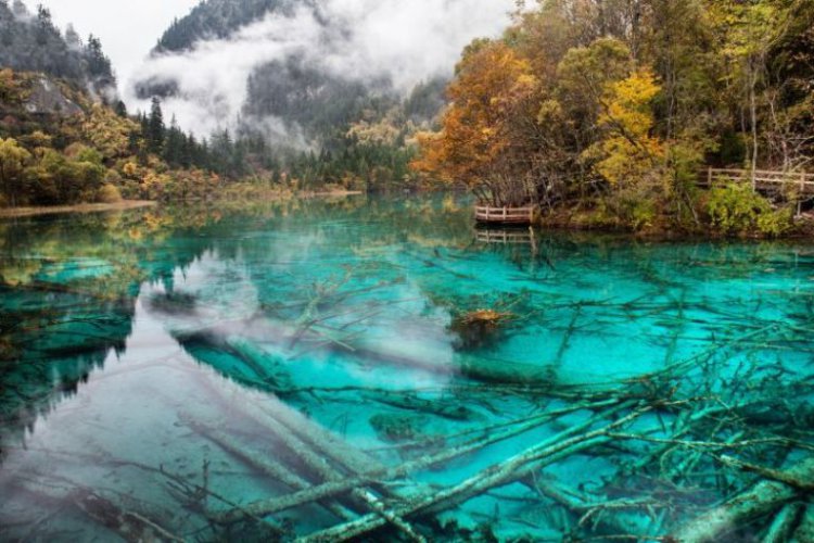 Места с чистейшей водой Места с чистейшей водой