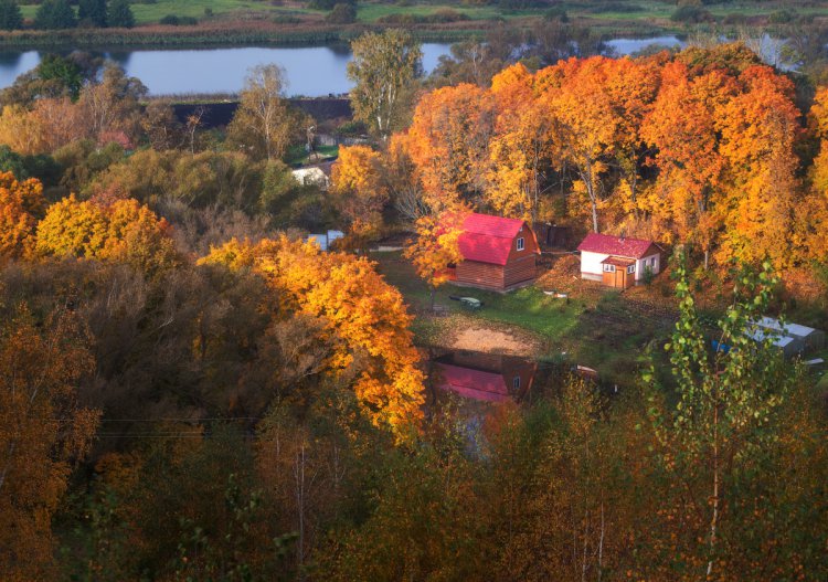 Природа Рязанского края Природа Рязанского края