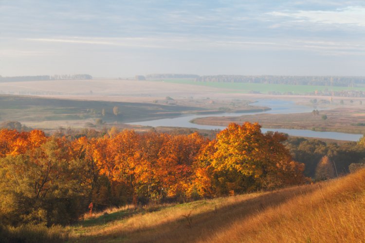 Природа Рязанского края Природа Рязанского края