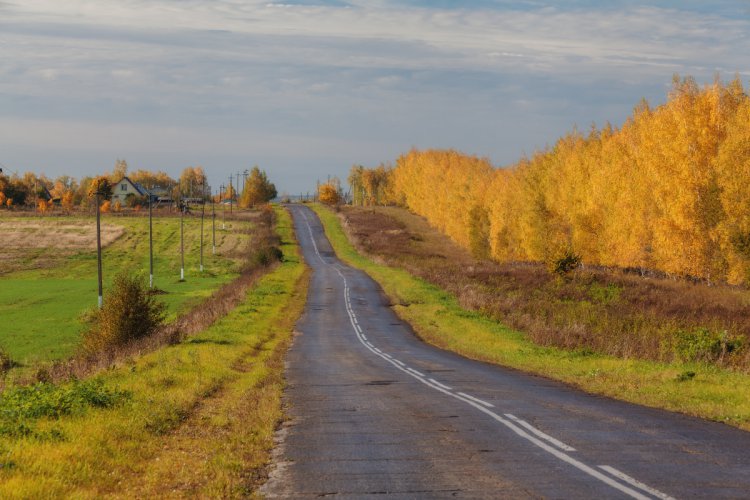 Природа Рязанского края Природа Рязанского края