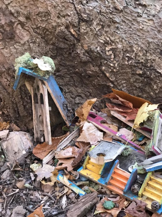 Во время прогулки с собакой мужчина нарвался на деревню гномов Во время прогулки с собакой мужчина нарвался на деревню гномов