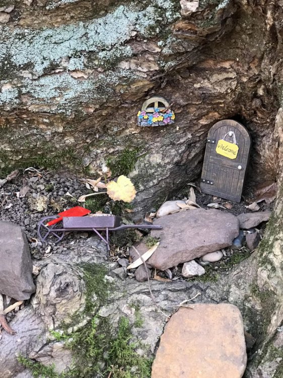 Во время прогулки с собакой мужчина нарвался на деревню гномов Во время прогулки с собакой мужчина нарвался на деревню гномов