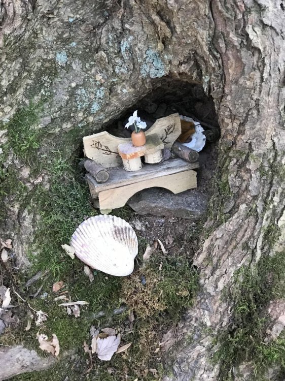 Во время прогулки с собакой мужчина нарвался на деревню гномов Во время прогулки с собакой мужчина нарвался на деревню гномов