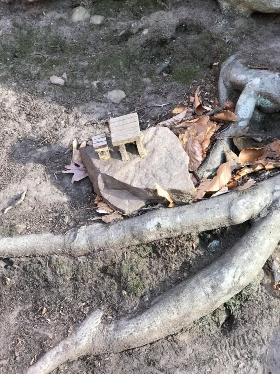 Во время прогулки с собакой мужчина нарвался на деревню гномов Во время прогулки с собакой мужчина нарвался на деревню гномов