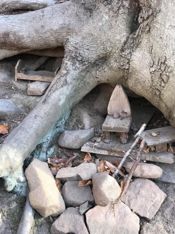 Во время прогулки с собакой мужчина нарвался на деревню гномов Во время прогулки с собакой мужчина нарвался на деревню гномов