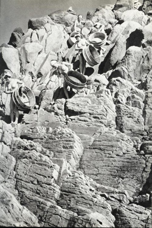 Фотограф Ивасе Ёсиюки: «Женщины моря» Фотограф Ивасе Ёсиюки: «Женщины моря»