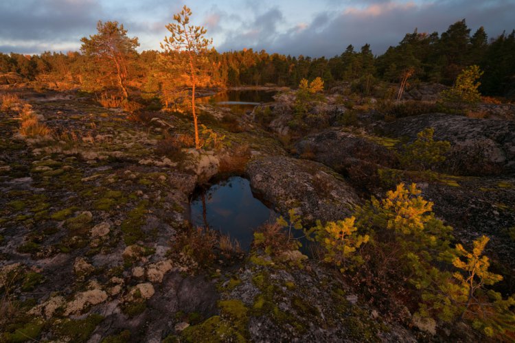 Осень на Ладоге Осень на Ладоге
