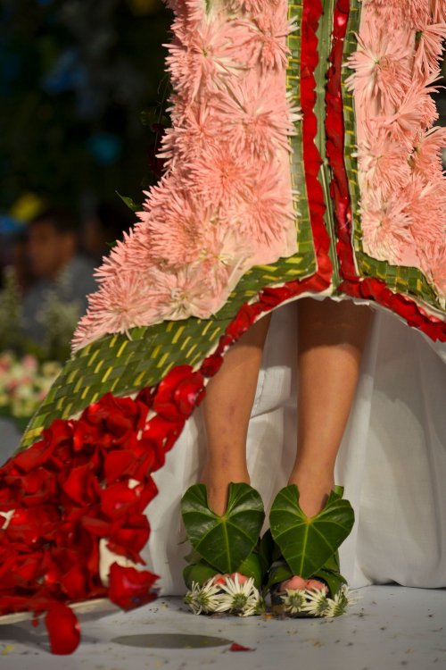 Наряды из растений на BioFashion Show Наряды из растений на BioFashion Show