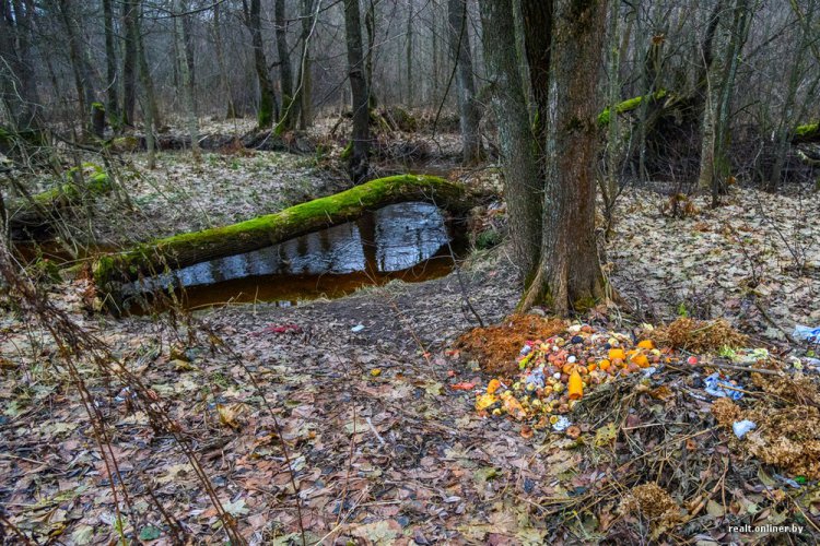 «Дом-шалаш» за $2000 под Минском «Дом-шалаш» за $2000 под Минском
